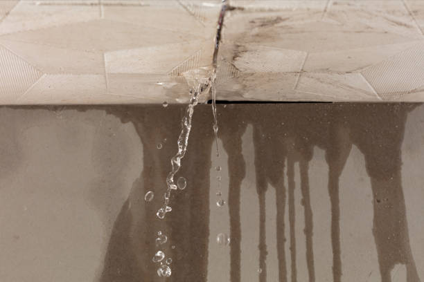 Professional Structural Drying technician working in Orange, NJ